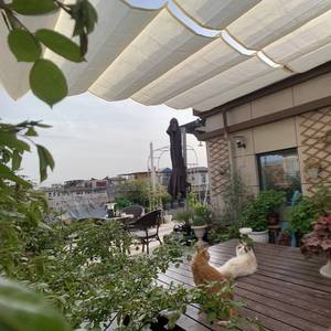 95% blanc <span class=keywords><strong>ombrage</strong></span> HDPE UV bloc maison jardin télescopique vague pare-soleil filet piscine Pergola auvent tente couverture solaire - Product Image 3