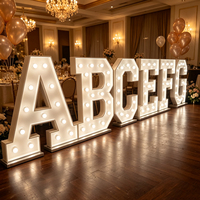Letras Luminosas LED para Eventos de Cumpleaños, Letras Grandes Iluminadas con Bombillas LED, Letrero Luminoso de 3 pies, 4 pies, 5 pies
