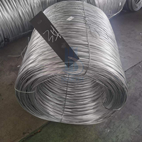 Fil d'acier galvanisé à chaud de qualité supérieure, fourni directement par l'usine, 0,5 mm, 1 mm, 2 mm, 3 mm, 4 mm, bobine d'acier galvanisé à faible prix