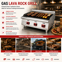 Grill à gaz haute performance avec pierres de lave pour la restauration et l'équipement de cuisine