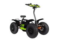 5KW 60V 4WD Scooter électrique alimenté par batterie au lithium utilisation agricole route légale CE 4*4 ATV électrique COC certifié EEC ATV électrique