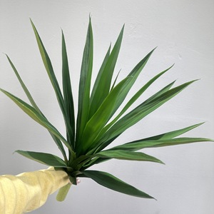 Planta Artificial de Agave Meng Jie, 30cm-100cm, PVC, Plástico Suave, Decoración Interior, Base Verde, Flor de Sisal - Product Image 2
