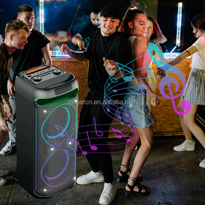 Enceinte Bluetooth portable double 8 pouces DR-8819 avec éclairage LED, pour fêtes en extérieur, sans fil, en plastique, avec fonction chant, alimentation CA/batterie - Product Image 6