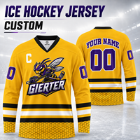 Programa de Suministro de Temporada de Camisetas de Hockey sobre Hielo Personalizadas, Uniforme de Hockey para Ligas, Academias, Clubes y Distribuidores Deportivos