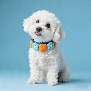 Collar para Perro Hecho a Mano con Lindos y Distintivos Diseños de Corazón Blanco y Rosa con Flor para Perros Hembra y Macho - Product Image 3