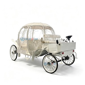 Nouvelle Conception d'Usine - Carrosse Citrouille de Style Européen en Acier Q235B, Modèle Électrique Surdimensionné Sur Mesure pour 10-12 Personnes - Product Image 1