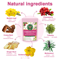 Thé aux herbes naturel OEM pour les fibromes, soin utérin pour femmes, équilibre hormonal féminin, soulagement des douleurs menstruelles, soutien du bien-être pelvien
