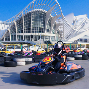 Karts à essence commerciaux personnalisés pour adultes, chaîne <span class=keywords><strong>4</strong></span> <span class=keywords><strong>temps</strong></span> 270cc, vitesse maximale 70 km/h, pour compétitions de course en circuit - Product Image 3