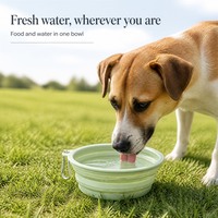 Bol pliable pour animaux de compagnie en TPE, bol à nourriture et à eau pour chien et chat, plat d'alimentation pliable pour les voyages et les sorties