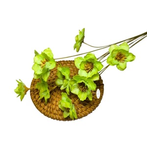 Venta al por mayor de flores secas naturales de <span class=keywords><strong>Campanula</strong></span> plantas de madera hechas a mano para la decoración del hogar y aromaterapia para graduación y Pascua - Product Image 6