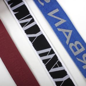 High Quality Woven Nylon Polyester Spandex JACQUARD Customized Logo <b>Elastic</b> Printed <b>Elastic</b> for Underwear Shoulder Tape - Product Image 4