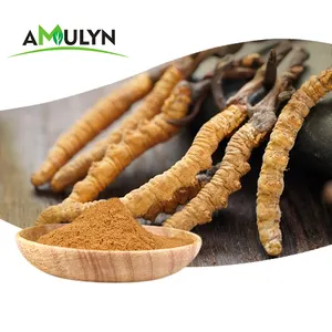 AMULYN Health supplement Cordyceps Sinensis Militaris Mushroom Extract Cordyceps Capsule Powder