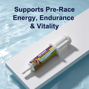 Gel Probiótico para Caballos de Marca Propia de Alta Calidad, Suplementos para la Salud Equina, para Energía <span class=keywords><strong>Pre</strong></span>-Competición - Product Image 2
