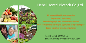 <span class=keywords><strong>EDTA</strong></span> Fe 13% Phân Bón Hữu Cơ Phân Bón Sắt Phân Bón Hòa Tan Trong Nước - Product Image 6