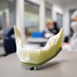 Modelo de hueso de mandíbula inferior de mandíbula anatómica Dental con dientes de mandíbula inferior de goma edéntulo <span class=keywords><strong>para</strong></span> estudio de práctica Dental - Product Image 6