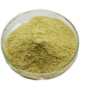 Food Grade <span class=keywords><strong>Nettle</strong></span> ekstrak Stinging bubuk Herbal cair untuk perawatan kesehatan produk sertifikasi GMP pesanan Minimum 1kg - Product Image 1
