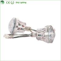 Lampes Cabochon de Haute Qualité, RGB Programmables, Ampoules LED pour Manèges d'Attraction