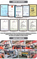 Suministro Directo de Fábrica, Modelo 1224, Máquina de Impresión, Ranurado y Troquelado Computarizada de Alta Velocidad con Tinta a Base de Agua de 2/3/4 Colores