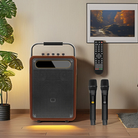 Amplificador de Bajos Profesional de 100W, Altavoz para Guitarra con Soporte para Tarjeta de Memoria Inalámbrica, Caja de Sonido Portátil para Escenario y Karaoke KTV