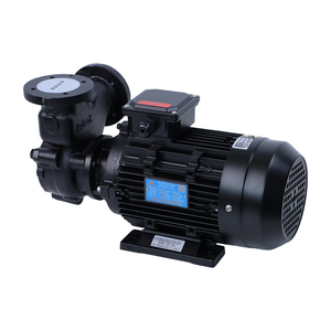 Bomba de Hierro Fundido y Acero Inoxidable Resistente a Altas Temperaturas (200 Grados), de 0.33-3 HP - Product Image 4