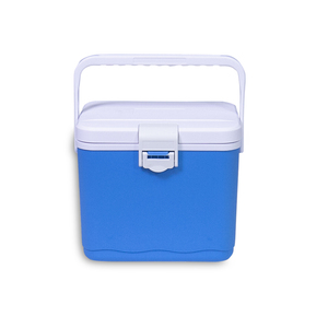Eco Friendly Meal Prep Cool Bag Cold Thermo Food Delivery Box Insulate Cooler Lunch Cooler Box