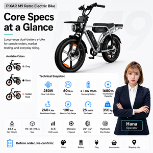 Bicicleta eléctrica utilitaria M9 20 X 4.0 con motor trasero, batería dual, cesta, portaequipajes, diseño de dos asientos, bicicleta versátil. - Product Image 5