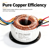 Transformateur toroïdal à faible bruit 500VA 50/60Hz, entrée 110V/240V, sortie 20/20V pour amplificateurs audio et équipements de contrôle sonore