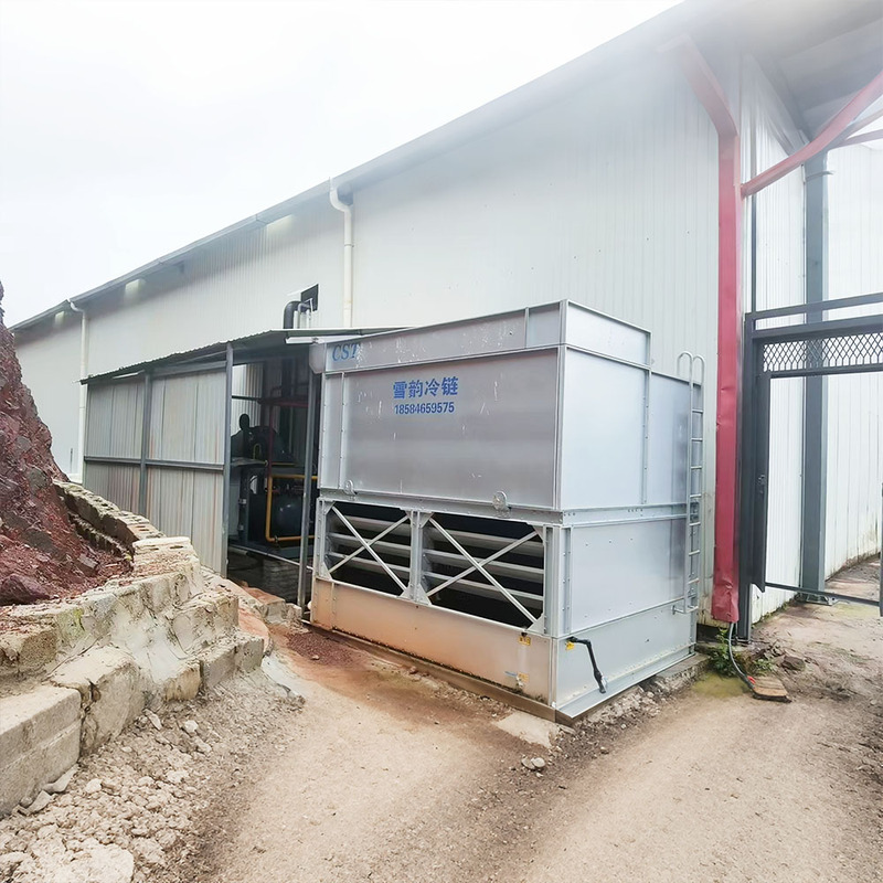 Bitzer Cold Storage Freezer Room Refrigeration