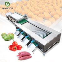 Knoflook-wortel-appel-fruit elektronische sorteermachine, sorteer- en wasmachine voor ananas en wasmachine voor lijnsortering
