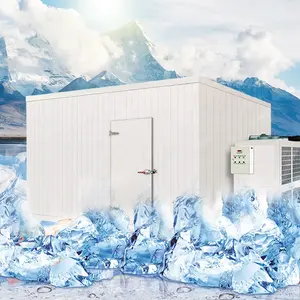 Goedkope Prijs Ice Opslag Containers/Diepvriezers/Koude Kamer Voor Ice Cube