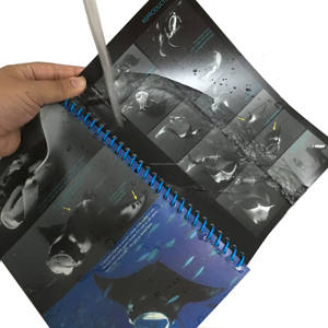 Hochwertiger Tyvek-Broschüren-Druck, Wasserfestes Wire-O-Heft, Vollfarbiger PVC-Taschenbuch-Spiralbindung-Druck - Product Image 3