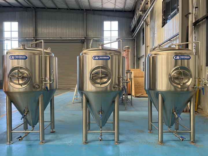 Unitank Capacity 500L Stainless Steel 304 Conical Beer Fermenter 5BBL Unitank with ...