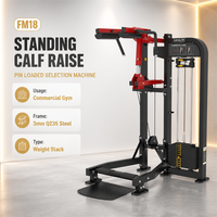Machine à mollets professionnelle pour salle de sport, équipement robuste pour l'entraînement des mollets debout, renforcement des muscles du bas du corps