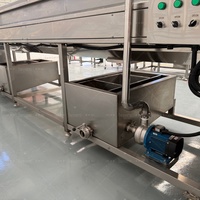 Mango-sap productielijn |   Complete Mango Verwerkingsmachine voor het maken van vruchtensap, turnkey mango sap productielijn