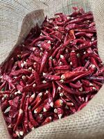 Piment de Cayenne AD, graines de piment séchées et ail, épice au piment en poudre, brut, traité, sans additifs