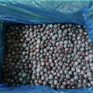 Vente en gros en vrac Exportation Myrtille congelée IQF Prix frais pour les fruits congelés - Product Image 5