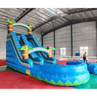 Toboggan aquatique gonflable tropical à double voie personnalisable avec piscine à jets d'eau, toboggan aquatique gonflable commercial pour parc d'attractions