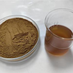Estratto Naturale di Fructus Ligustri <span class=keywords><strong>Lucidi</strong></span> 10:1 20:1 Polvere di Acido Oleanolico Grado Alimentare Fornitura Diretta dalla Fabbrica - Product Image 4