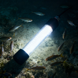 Dưới nước cá attractor ánh sáng 12V/24V không thấm nước IP68 độ sáng cao dẫn với 5m cáp cho câu cá côn trùng thu hút - Product Image 3