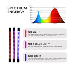Kanlong USB <span class=keywords><strong>LED</strong></span> Grow <span class=keywords><strong>Light</strong></span> Full Spectrum Múltiples modos Clip de bucle temporizado para plantas de interior Luces de cultivo de semillas - Product Image 4