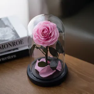 Real Natural Rose Belle Enchanted Mothers Day Gift Box Decor Everlasting Forever Eternal Rose Preserved Flower In Glass Dome LED