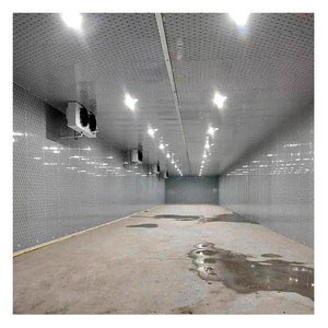 Paddenstoel Kweek Koudkamer Grote Schaal Koude Opslag Voor Groenten - Product Image 5