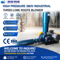 Souffleur d'air de type Roots à haut rendement volumétrique 380V 1,1kW pour l'aération des cuves de boues activées