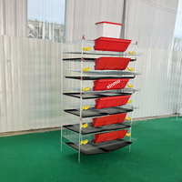 Cages d'élevage de cailles automatiques prix d'usine Offres Spéciales nouvel état