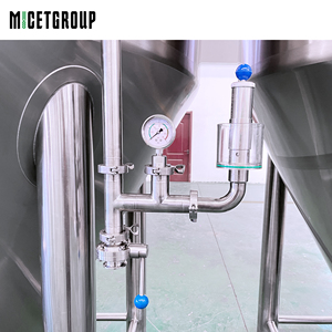 Cuve de Fermentation Commerciale 20 BBL pour Brasserie avec Port de Chargement de Hops Secs, Échelle, Vanne d'Échantillonnage et Détection de Température - À Vendre - Product Image 5