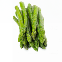 Lanzas de espárragos verdes congelados de la mejor calidad, verduras IQF al vapor, tallo perfecto para mejorar bocadillos o comidas saludables