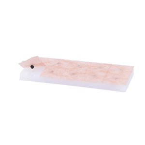 Graines d'acupuncture Dragon Cloud & Dragon, 7 pièces, plantes auriculaires naturelles, (<span class=keywords><strong>wang</strong></span> bu liu xing <span class=keywords><strong>zi</strong></span>) pour thérapie par Acupuncture - Product Image 3