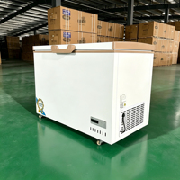 Congélateur vertical commercial à une porte, prix d'usine, refroidissement direct, écologique, économe en énergie, grande capacité pour usage domestique