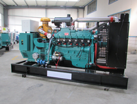 Chinesischer Hersteller 300KW NPG Biogas LPG Generator Kommerzieller Industrieller Elektrischer Generator 400V 50 60Hz