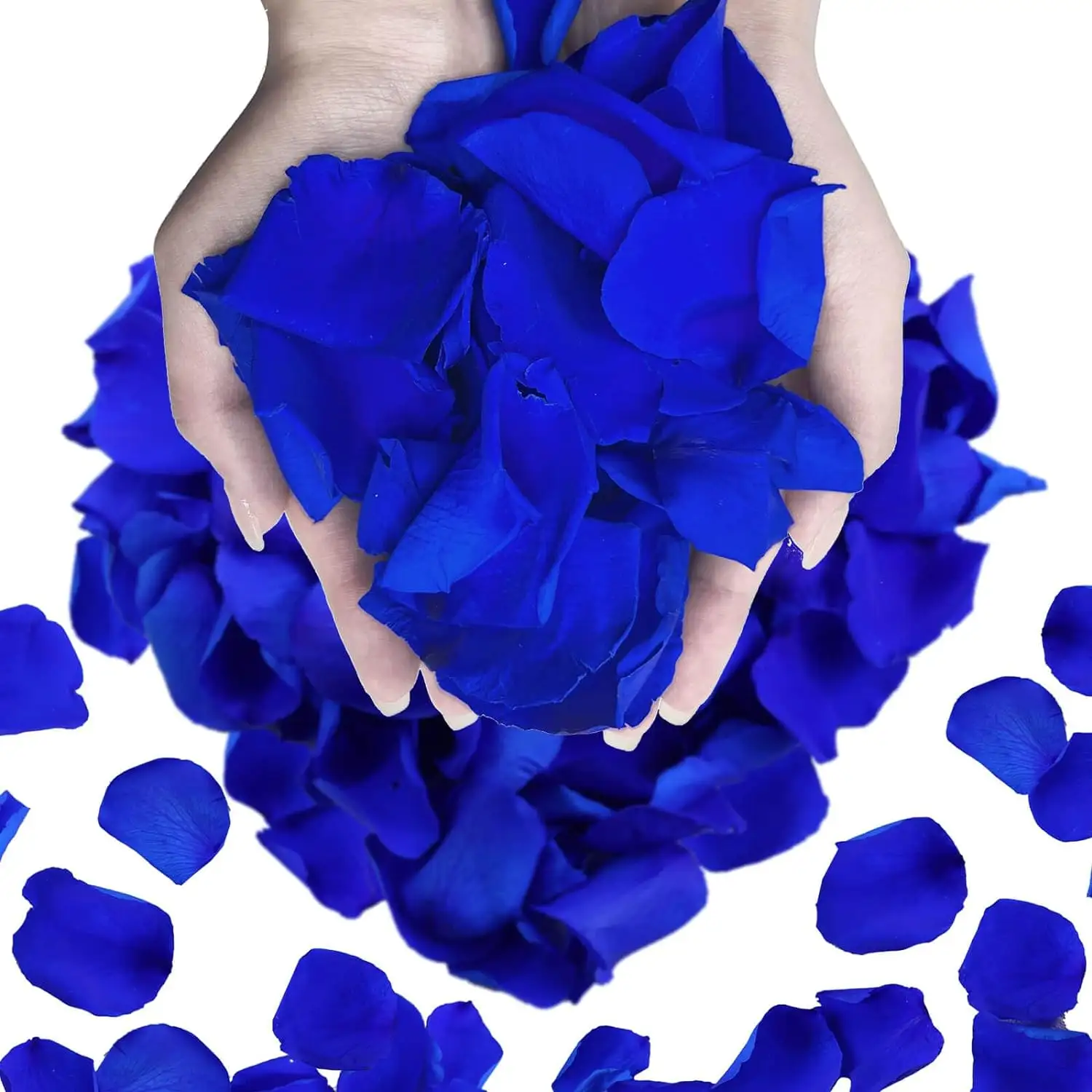 Pétalos de Rosa secos preservados reales azules flores naturales para boda CENA DE San Valentín Mesa fiesta confeti decoración de ducha nupcial